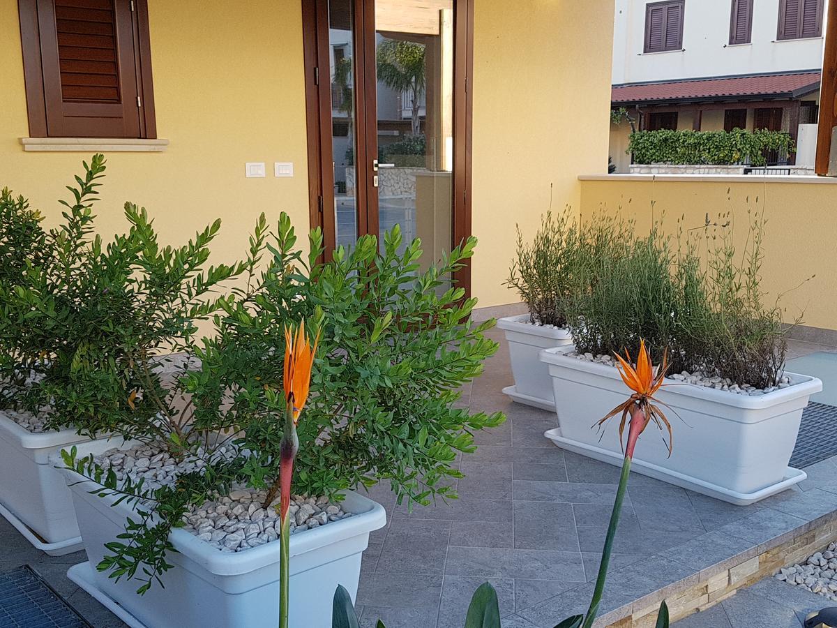 Aloe Comfort * San Vito Lo Capo