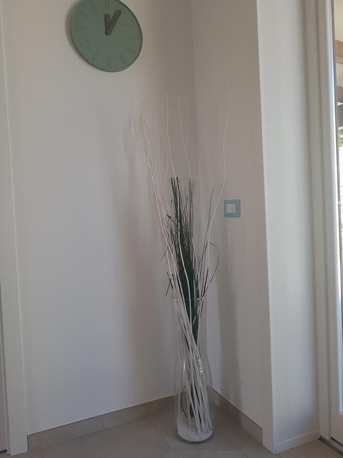Aloe Comfort Bed & Breakfast San Vito Lo Capo
