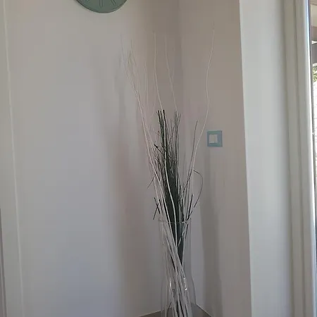 B&B Aloe Comfort Rooms San Vito Lo Capo Extérieur photo
