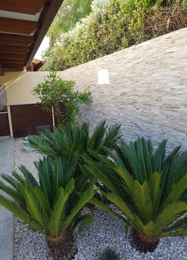 Aloe Comfort Bed & Breakfast San Vito Lo Capo